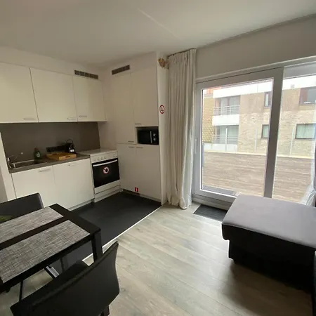 1 Bedroom With Large Seaview Terrace * Knokke-Heist
