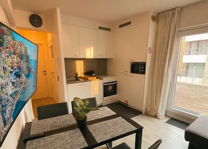 1 Bedroom With Large Seaview Terrace Apartment Knokke-Heist